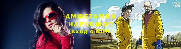 трава Медвежьегорск