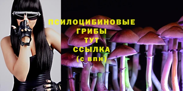 гидропоника Абинск