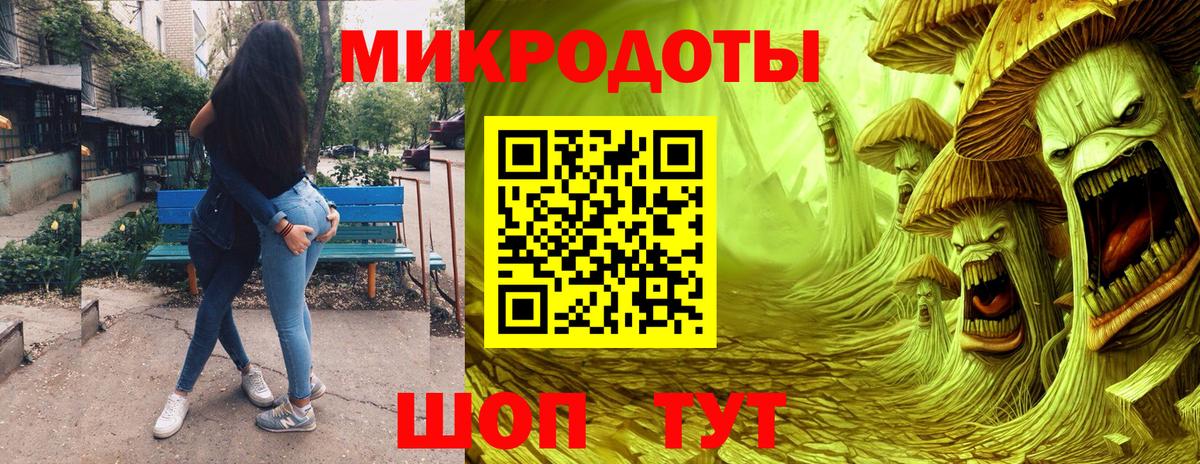 Псилоцибиновые грибы Psilocybine cubensis Домодедово